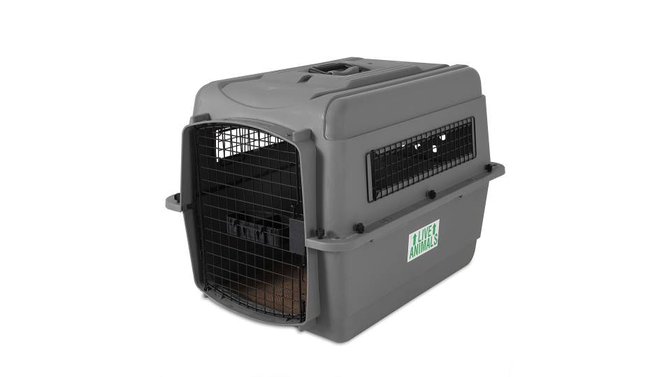 thumbnail Petmate Sky Kennel Dog Review