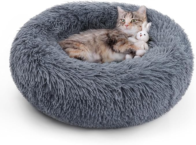rabbitgoo Cat Bed for Indoor Cats Review
