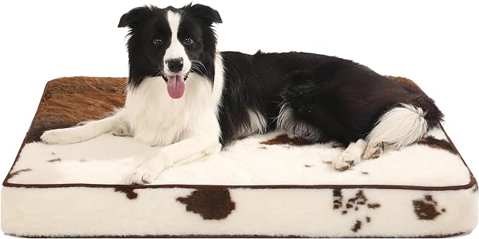 Bedfolks 4" Thick Orthopedic Dog Bed Review