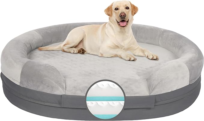 Bepatio Orthopedic Dog Bed Review